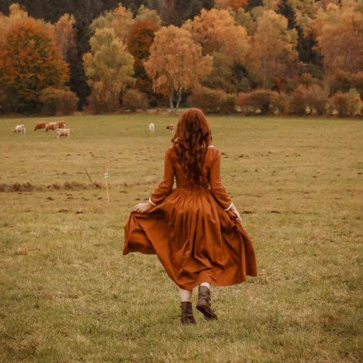 Demelza Poldark corset rust princess V waist linen dress with lace. Handmade retro style princesscore dress.