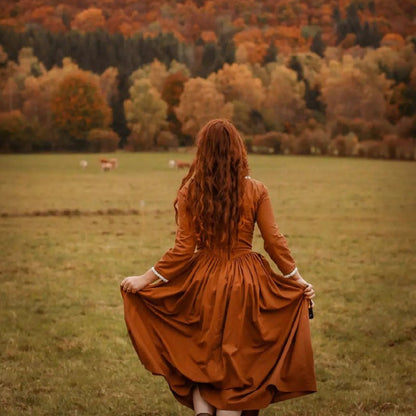 Demelza Poldark corset rust princess V waist linen dress with lace. Handmade retro style princesscore dress.