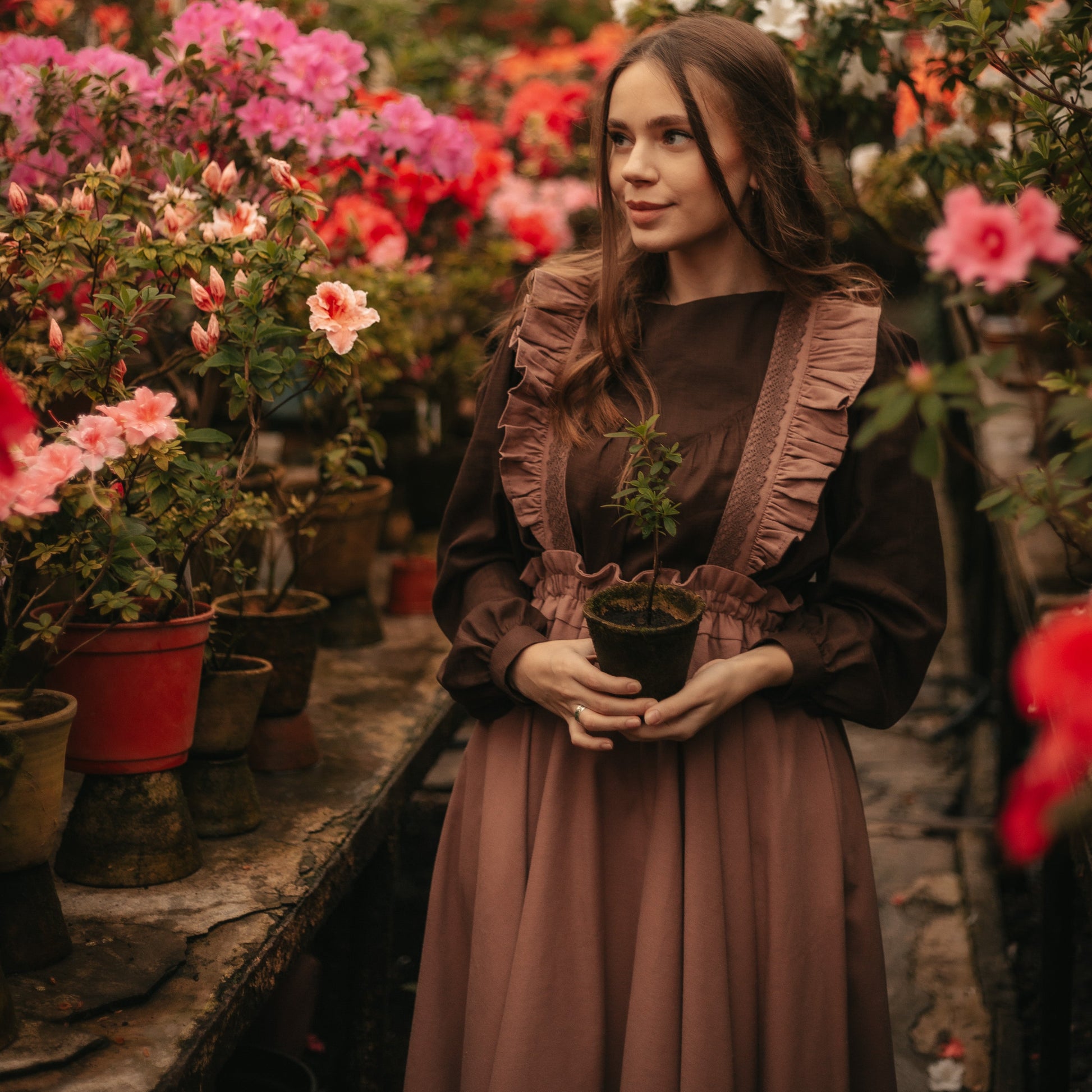 Anne Shirley of Green Gables style skirt and blouse